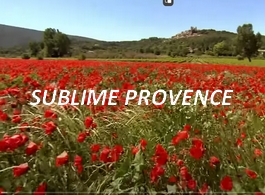 Sublime Provence